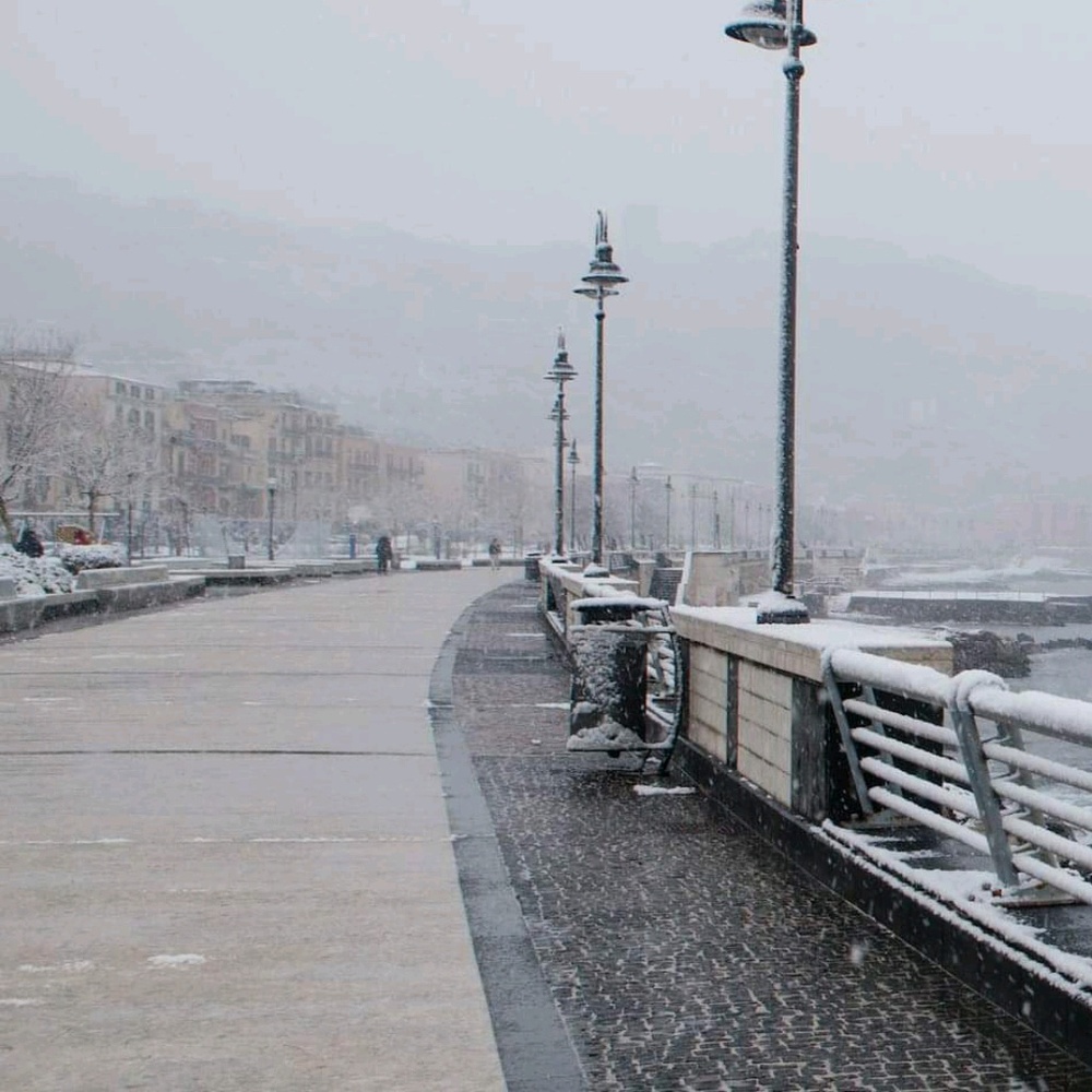 Meet your Posher, Ralph